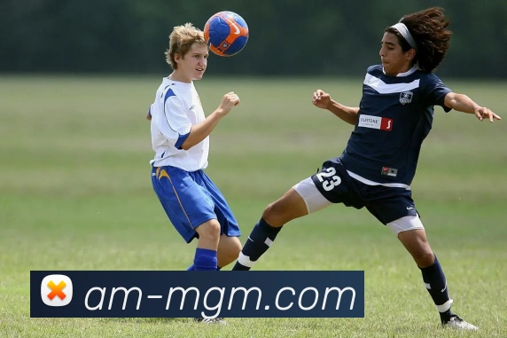 美高梅官网平台生态图